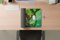 One Piece Zoro - XXL and XXXXL Mouse Pad - ToonStream